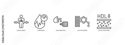 Symptoms of Metabolic Syndrome banner web icon vector illustration concept with an icon of Hypertension, Insulin Resistance, High Triglycerides