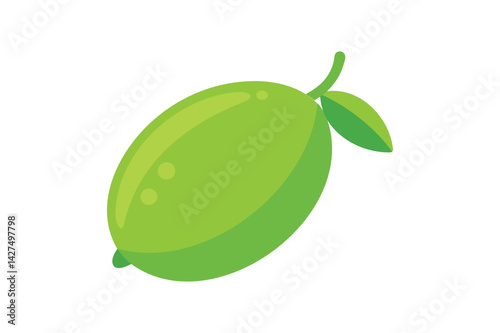 Fresh Australian Finger Lime vector on white background
