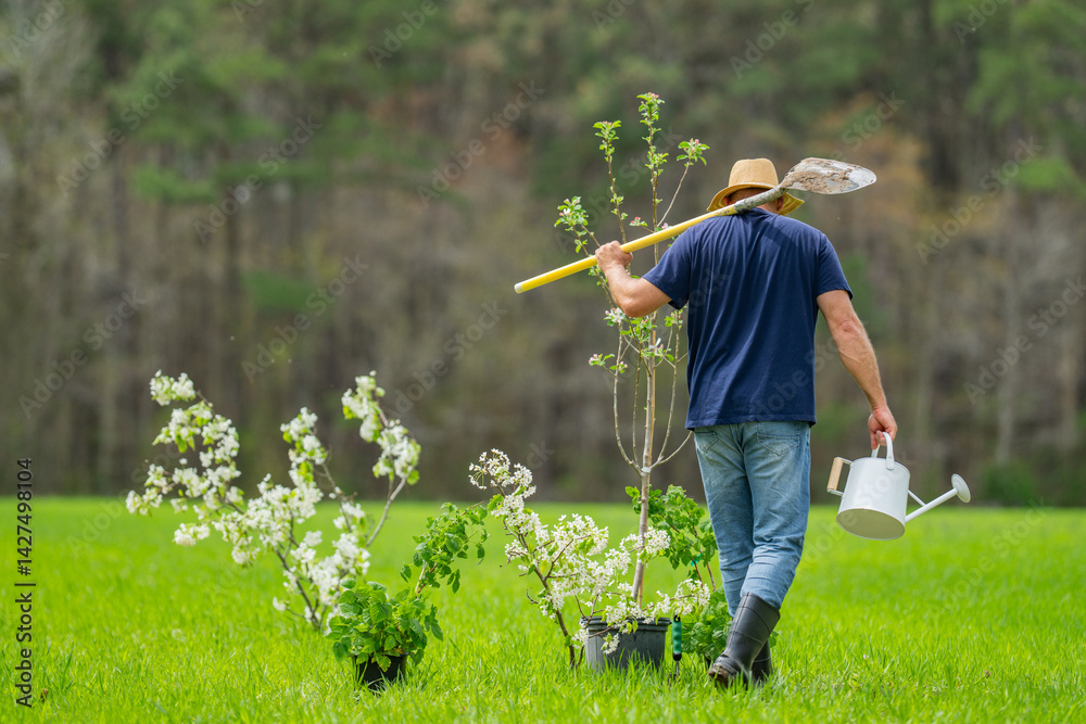 Farmer planting tree. Farmer growing plants in backyard. Farmer working on the farm. Farmer working on spring field. Gardening life. Soil preparation for planting. Planting tree in green lawn.
