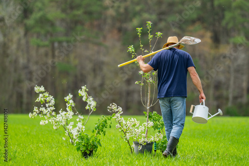 Obraz na płótnie Farmer planting tree. Farmer growing plants in backyard. Farmer working on the farm. Farmer working on spring field. Gardening life. Soil preparation for planting. Planting tree in green lawn. w salonie