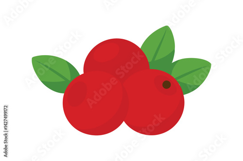 Fresh Cranberry vector on white background