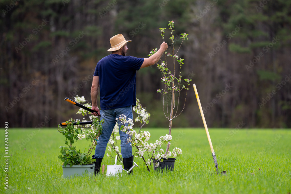 Gardener farmer working in spring garden. Farmer in garden with shovel. Mature gardener cultivating land. Mature farmer in orchard. Worker farmer planting seedling. Growing plants in backyard.