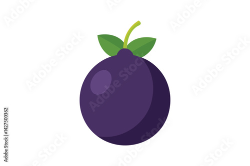 Fresh Jabuticaba vector on white background