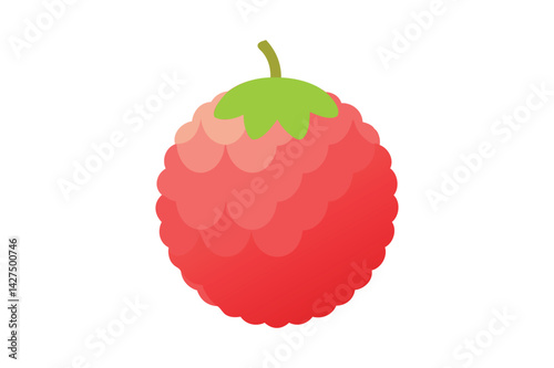 Fresh Lychee vector on white background