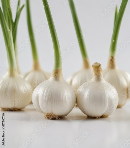 Close-up of aligned fresh garlic bulbs and their green stalks, pure white background , garlic, recipe, farm