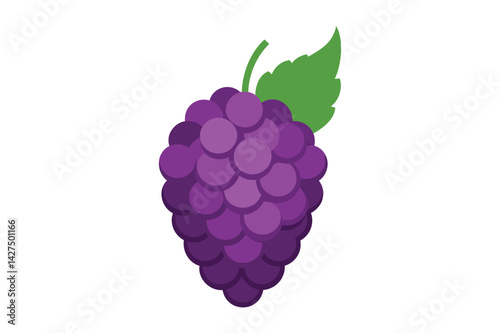 Fresh Mulberry vector on white background