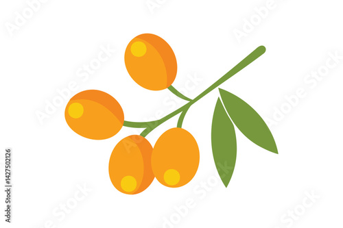 Fresh Sea Buckthorn vector on white background