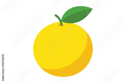 Fresh Yuzu vector