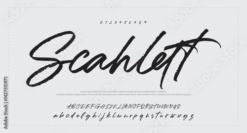 
signature Font Calligraphy Logotype Script Brush Font Type Font lettering handwritten 