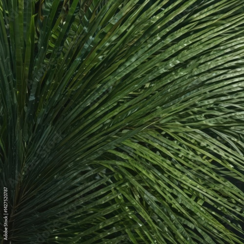 Intricate palm frond close-up, rich green hues ,  leaves,  organic