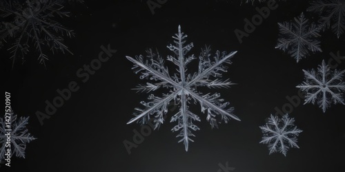 Intricate snowflakes fall against a pure black backdrop ,  high quality,  picture