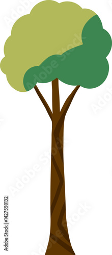 Rounded Canopy Tree Illustration