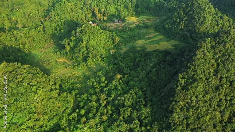 The green rice paddies nestle in the limestone mountains, in Asia, in the north of Vietnam, in Cao Bang, towards Lang Son, in summer, on a sunny day. 
