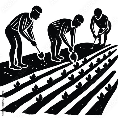 Three Farmers Planting Seeds in Rows on a Farm