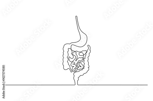 Continuous one line drawing of Human digestion. Single line drawing illustration of Human Digestive. Human anatomical concept vector art. Doodle line illustration.