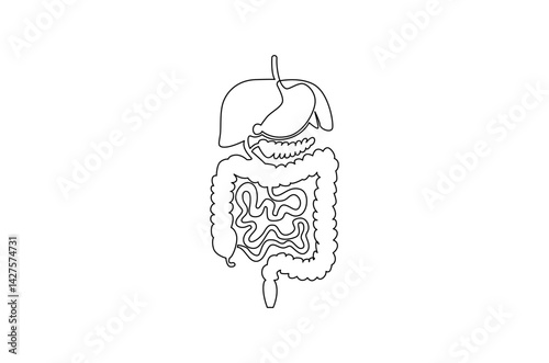Continuous one line drawing of Human digestion. Single line drawing illustration of Human Digestive. Human anatomical concept vector art. Doodle line illustration.