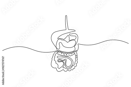 Continuous one line drawing of Human digestion. Single line drawing illustration of Human Digestive. Human anatomical concept vector art. Doodle line illustration.
