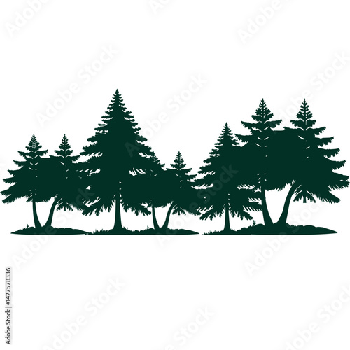 Pine Trees Vector