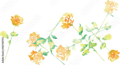 水彩画。水彩タッチの黄色い薔薇イラスト。父の日の黄色い薔薇フレーム。Watercolor painting. Yellow rose illustration with watercolor touch. Father's Day yellow rose frame.
