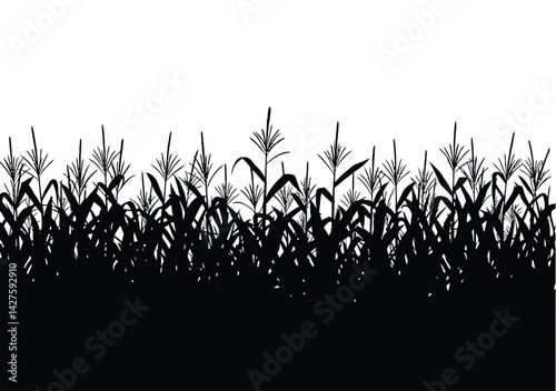 Cornfield silhouette. This image shows a black silhouette of a cornfield, symbolizing maize crops with husks and leaves in a rural setting. Vector clipart illustration design.