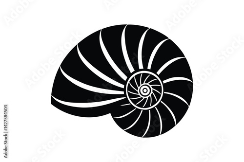 Nautilus shell icon silhouette on white background
