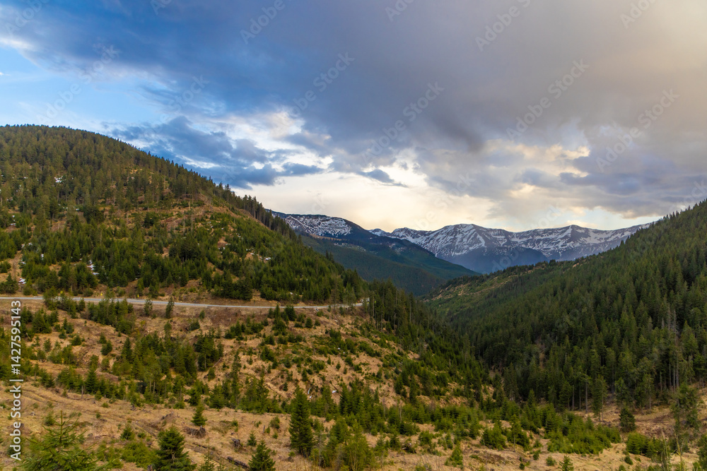 Landscape from Prislop Pass, Maramures County - Romania