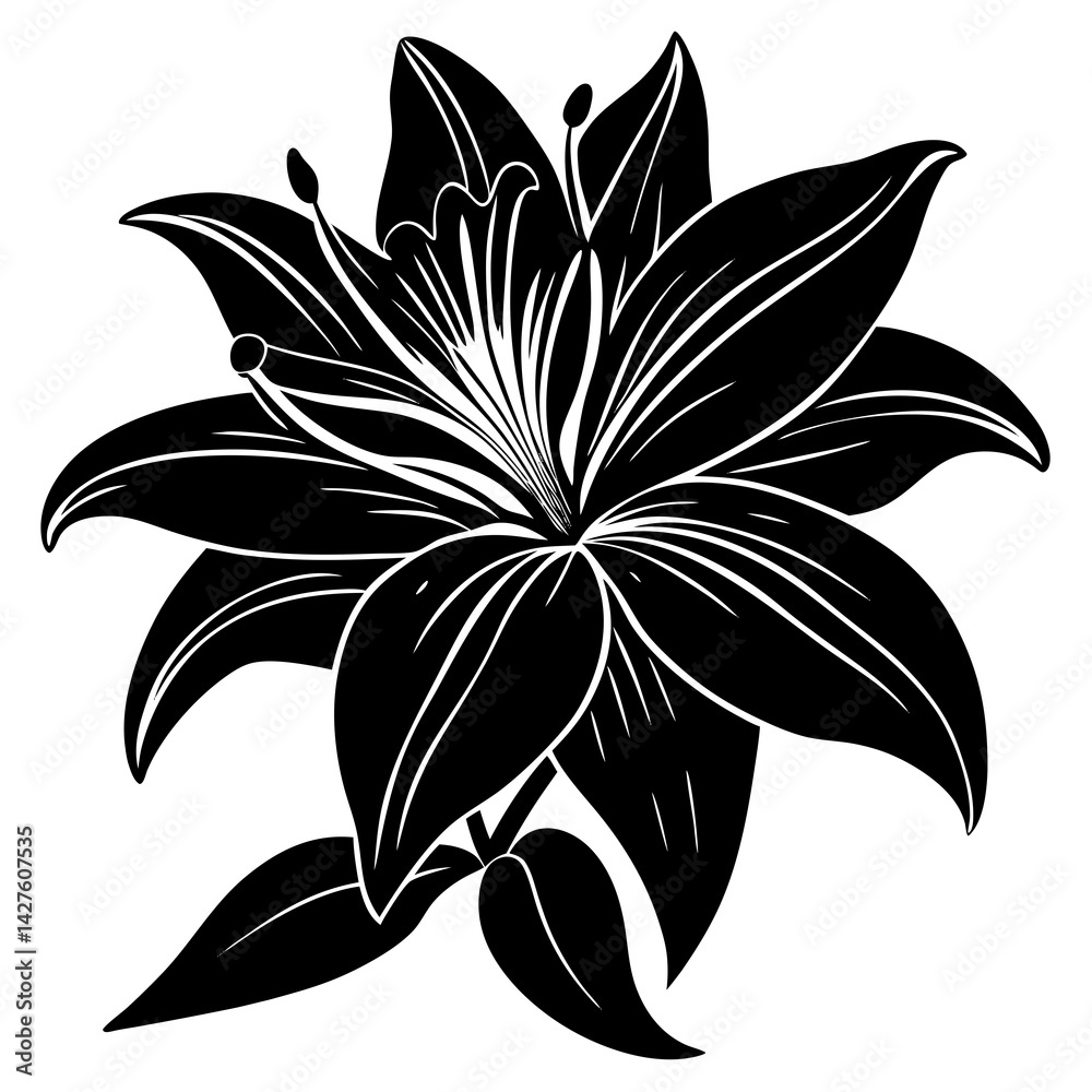 Fototapeta premium black silhouette of alilies flower