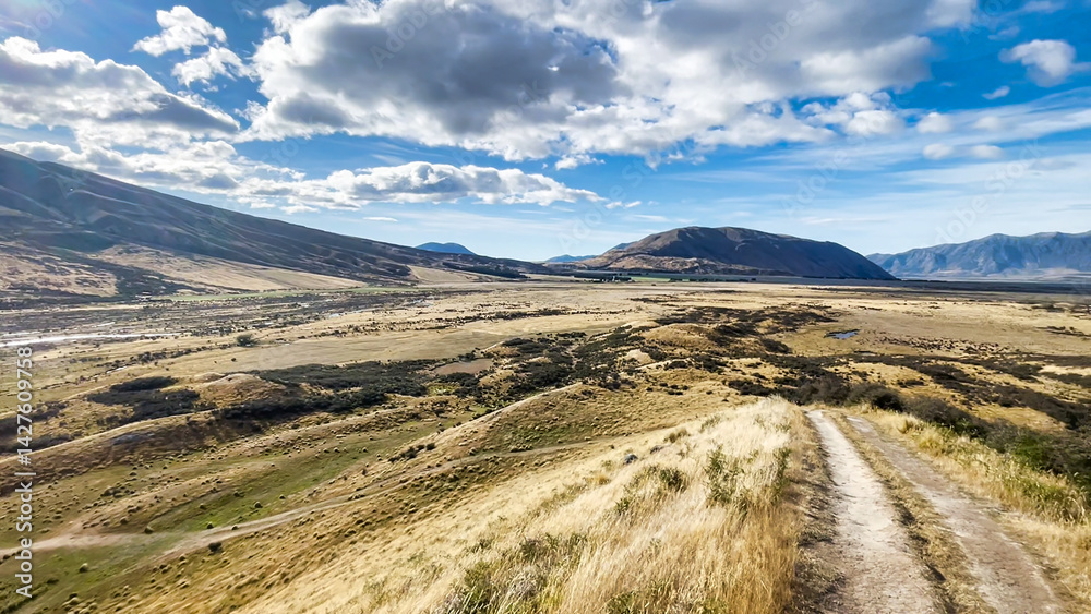 Naklejka premium Driving through Hakatere conservation park to Erewhon station