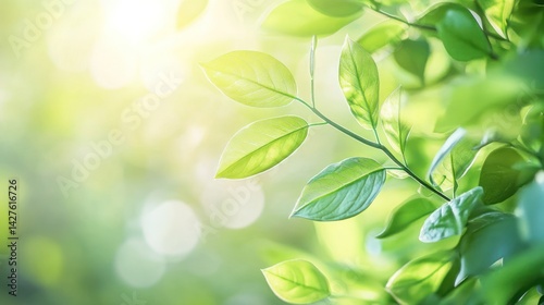 Radiant Spring: Nature's Gentle Awakening
