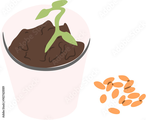 seeding Backyard gardening equipment