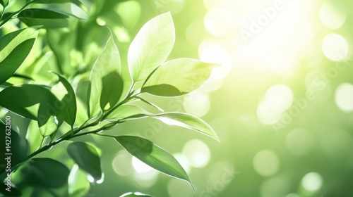 Vibrant Green Leaves Basking in Sunlight: A Serene Nature Scene
