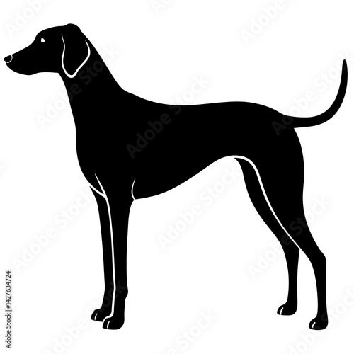 Beagle Dog silhouette vector illustration