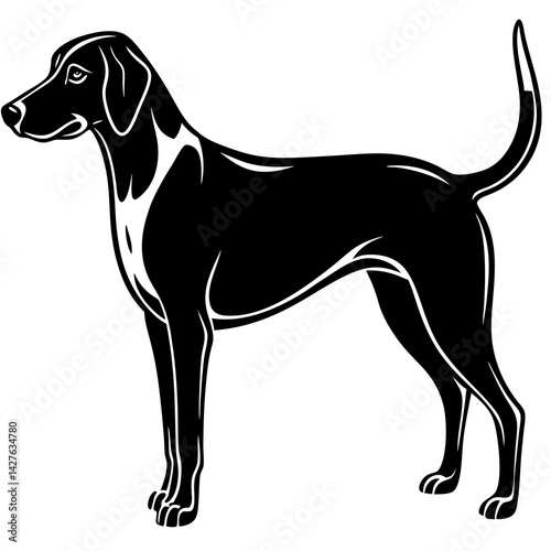 Beagle Dog silhouette vector illustration
