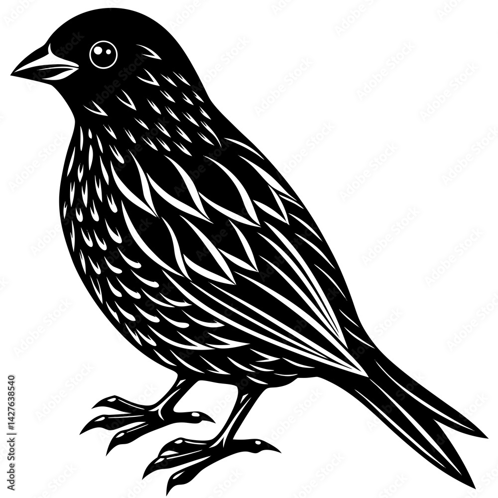 Fototapeta premium black silhouette of a bird animal
