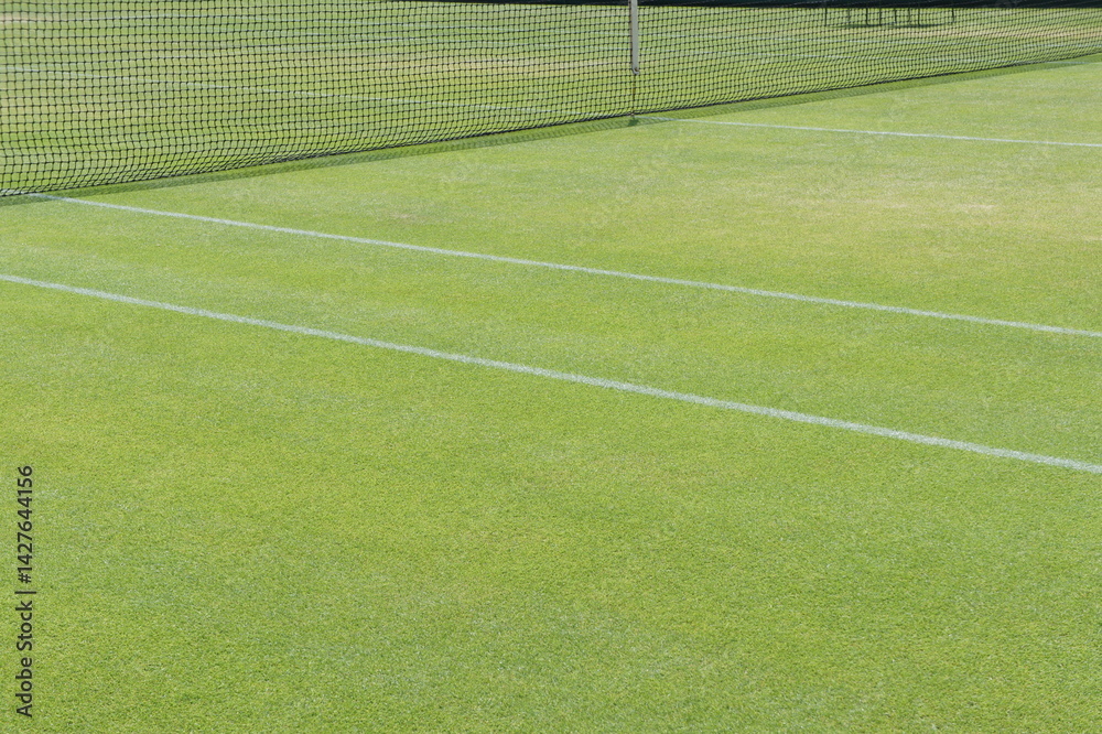 Obraz premium SONY DSC