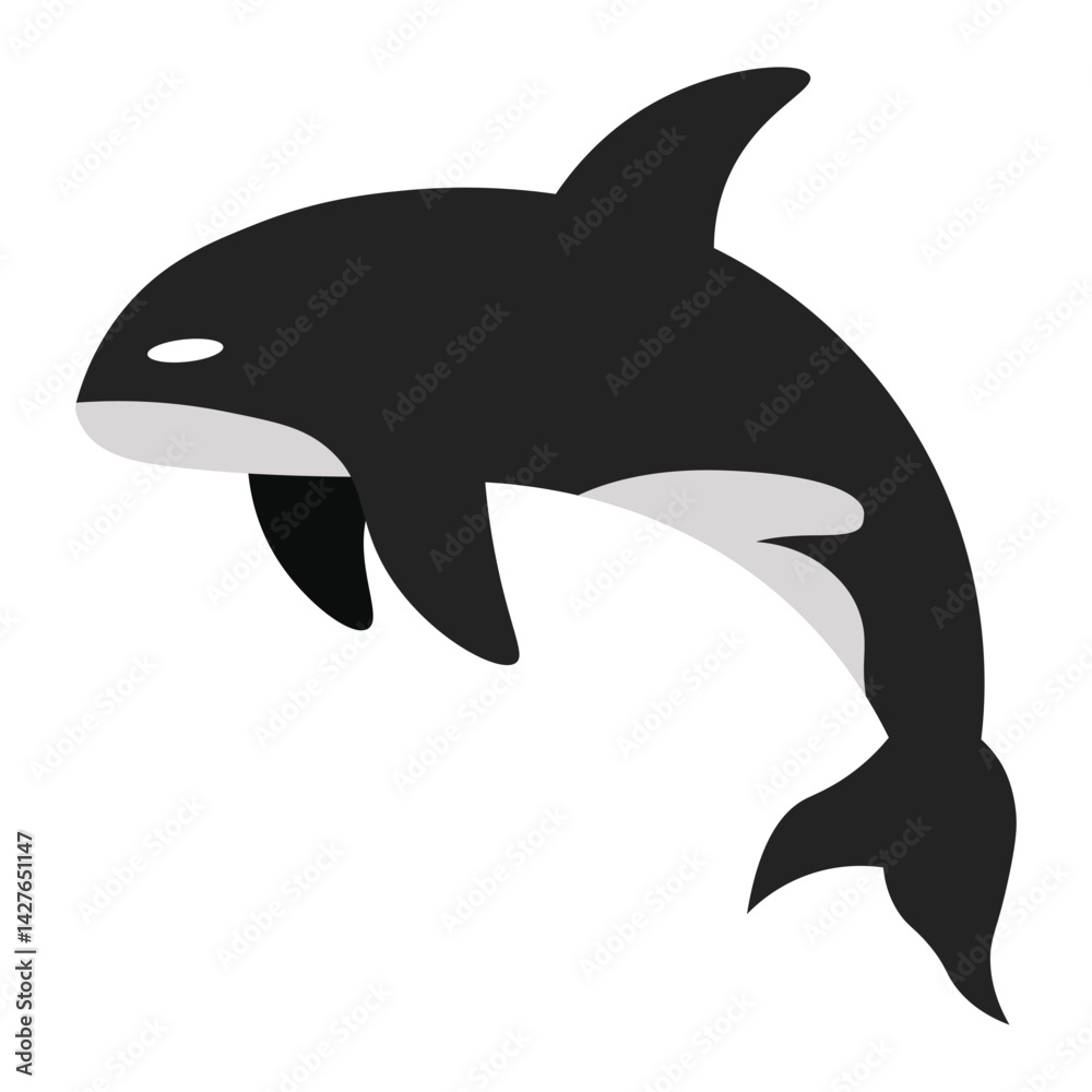 Fototapeta premium vector illustration of orca