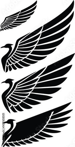 vector silhouette of a bird