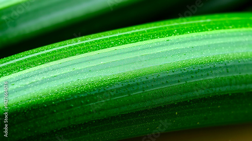 Obraz na płótnie close up detail cucumber side - Generated AI w salonie