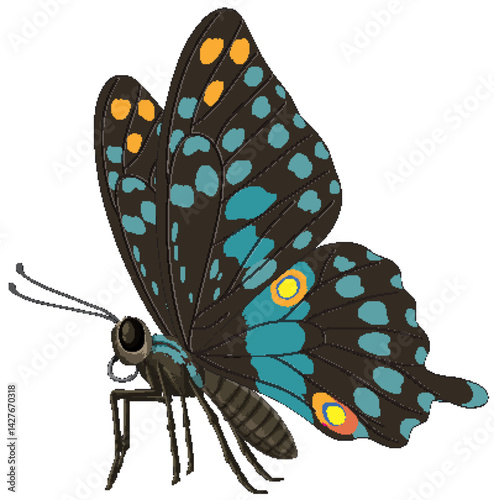 Colorful Butterfly Vector Illustration with Detailed Patterns
