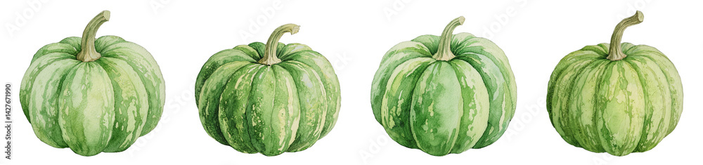Watercolor Illustration of Four Green Pumpkins Isolated on Transparent Background Watercolor Illustration of Four Green Pumpkins Isolated on Transparent Background