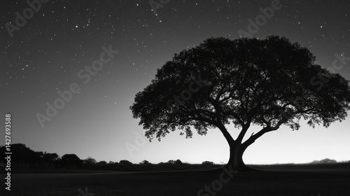 an image of a tree lit up at night with stars in the sky above it