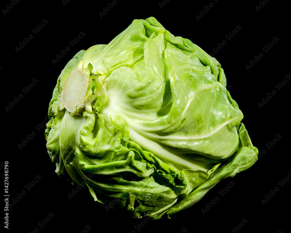 Fresh Green Cabbage on Black Background