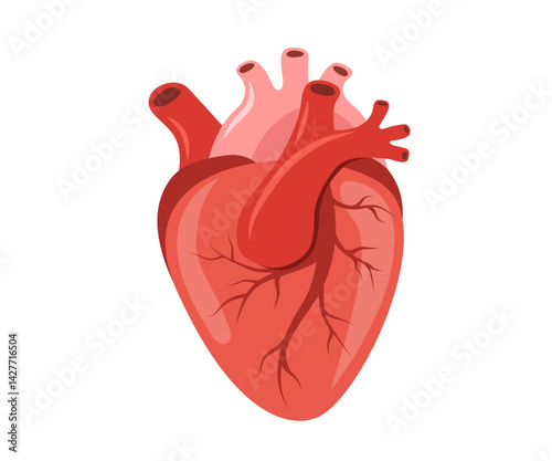 Human heart icon. Internal organ. Cardiology and anatomy concept. Medical Vector illustration in flat cartoon style.