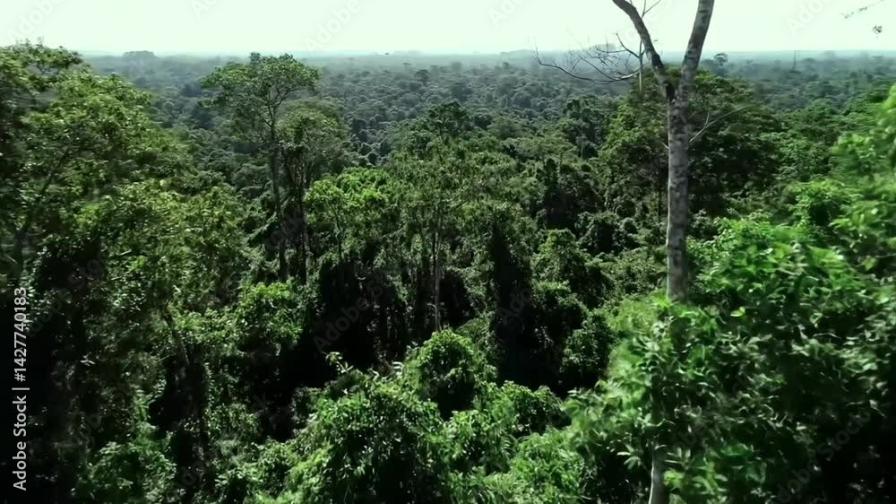 Low Altitude Drone View of Amazon Delivery Drone in Action Low Altitude Drone View of Amazon Delivery Drone in Action
