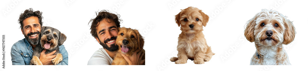 Diverse dogs and man smiling happily, love animals, friendship, cut out transparent Diverse dogs and man smiling happily, love animals, friendship, cut out transparent
