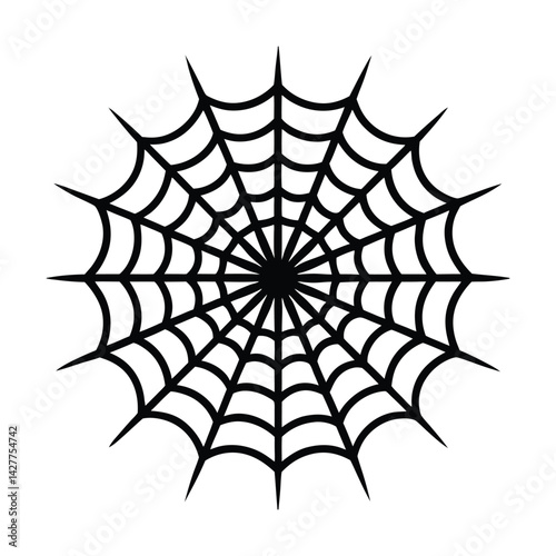 spider and web