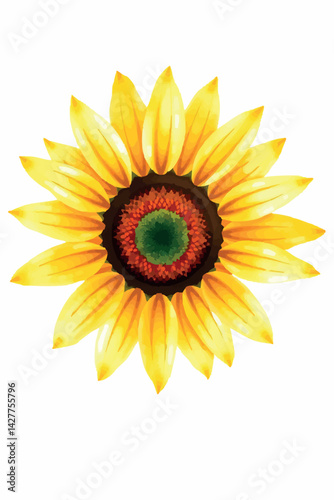 Watercolor sunflower flower. Isolated cheerful yellow bloom for summer and harvest designs.