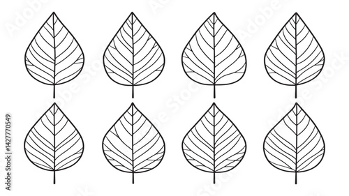 Bael leaf line art illustration creative art piece for interior decor