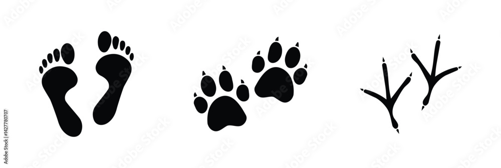 Fototapeta premium set of footprints, human, animal and bird trace, isolated on transparent