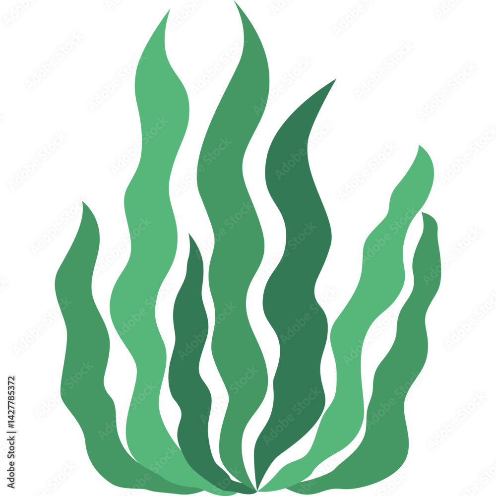 Seaweed Flat Illustration Seaweed Flat Illustration